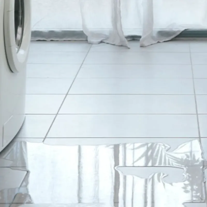 Appliance Leak Cleanup in Descanso, CA